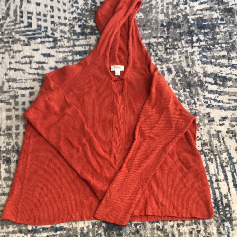 Talbots 3x hooded sweater